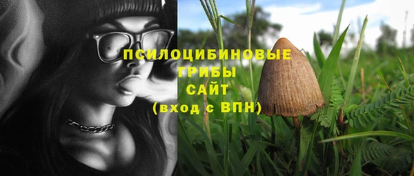 дмт Алзамай