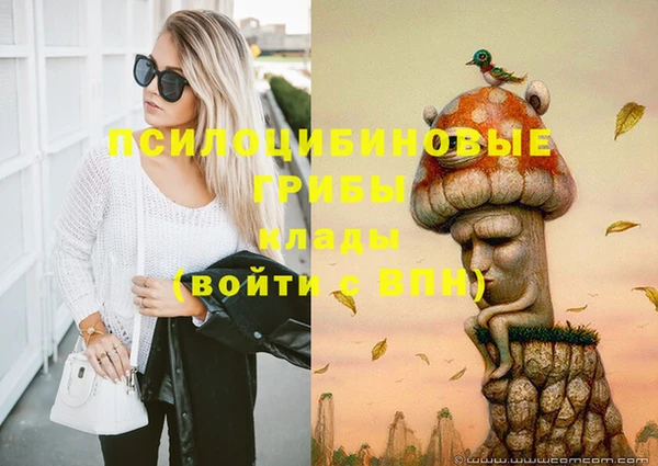 дмт Алзамай