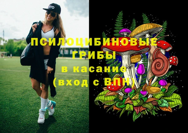 дмт Алзамай