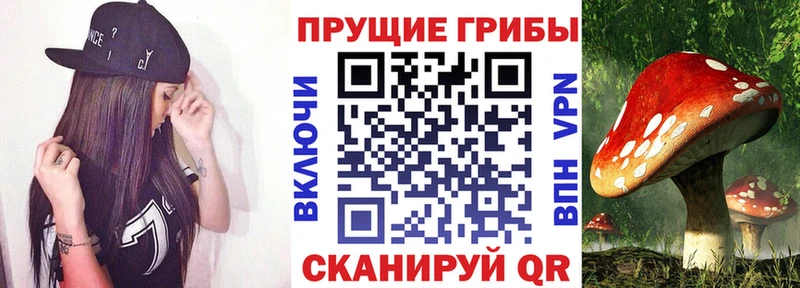 Псилоцибиновые грибы прущие грибы Оренбург
